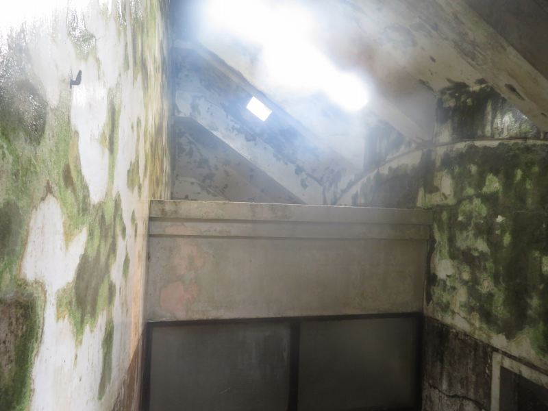 f:id:mannenNA:20210509095406j:plain