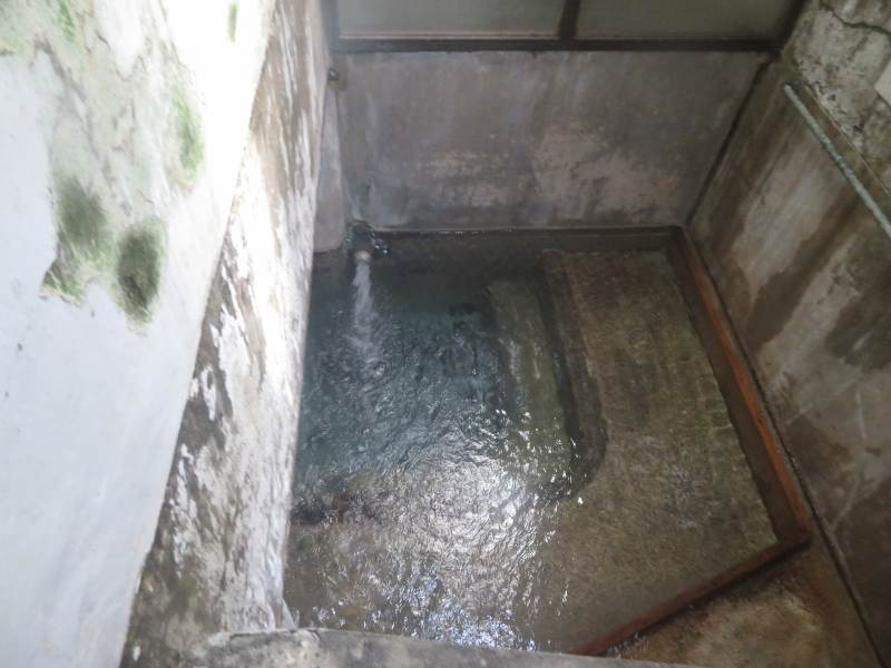 f:id:mannenNA:20210510215739j:plain