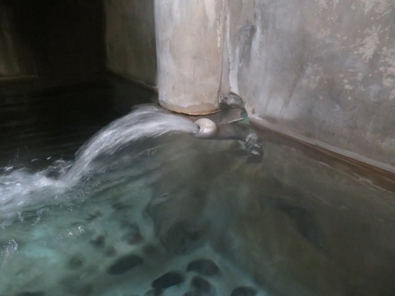 f:id:mannenNA:20210510215759j:plain