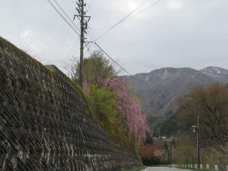 f:id:mannenNA:20210512212121j:plain