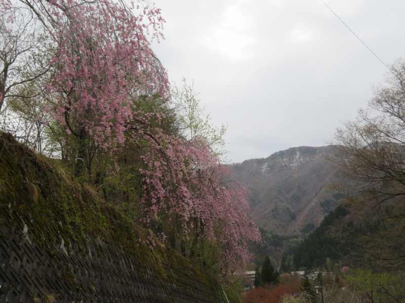 f:id:mannenNA:20210512212138j:plain