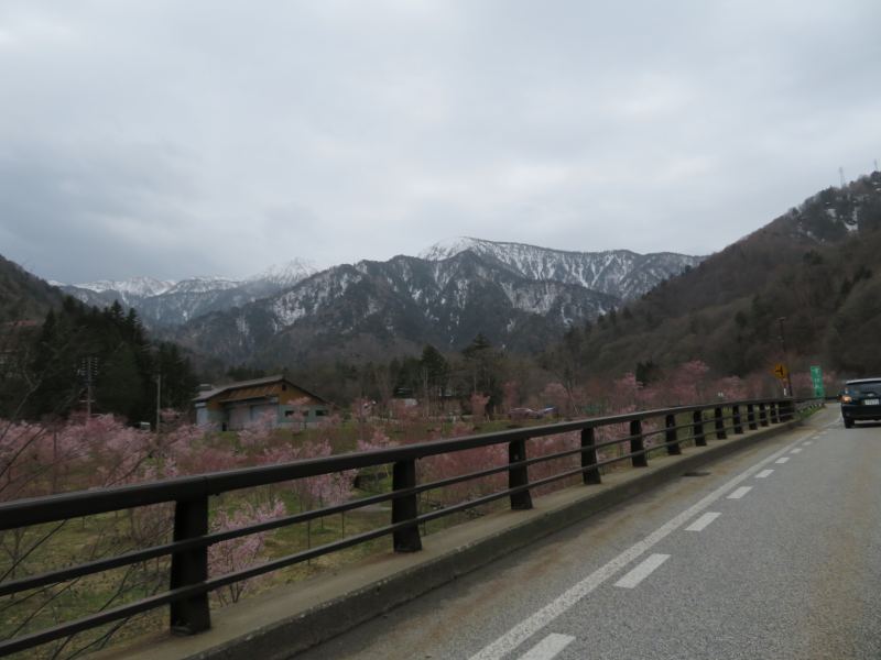 f:id:mannenNA:20210512212250j:plain