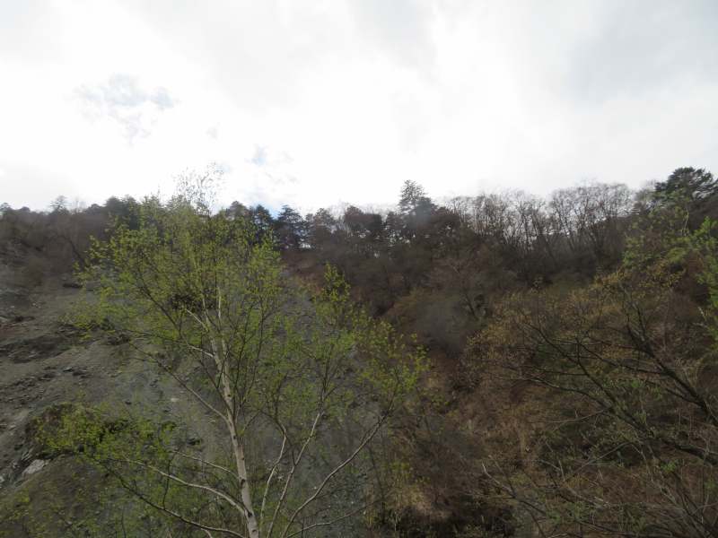 f:id:mannenNA:20210512212359j:plain