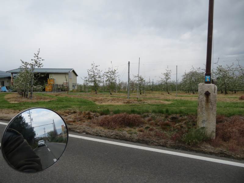 f:id:mannenNA:20210512212457j:plain