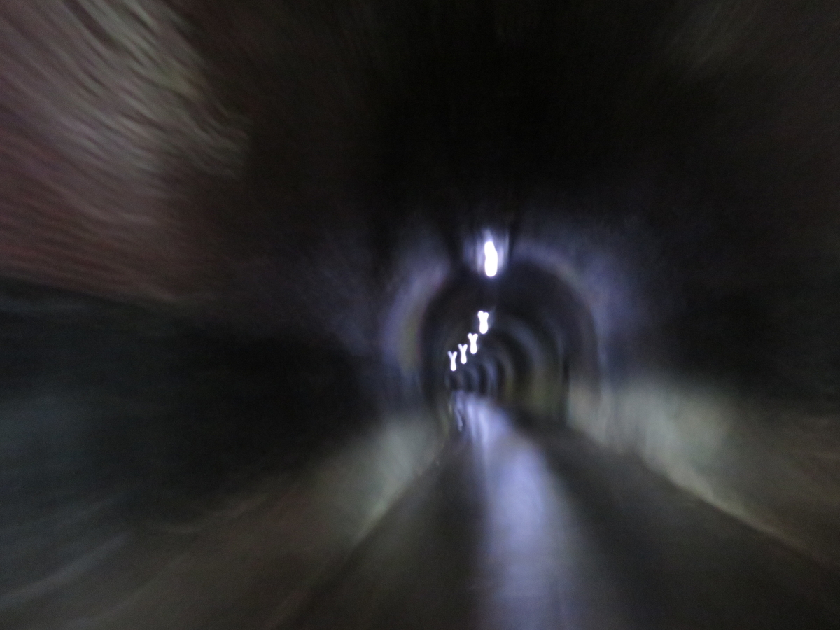 f:id:mannenNA:20210515211349j:plain