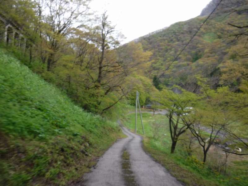 f:id:mannenNA:20210517200346j:plain