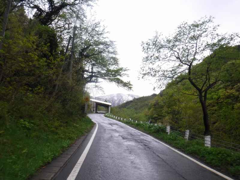 f:id:mannenNA:20210517200528j:plain