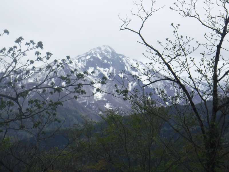 f:id:mannenNA:20210517200609j:plain