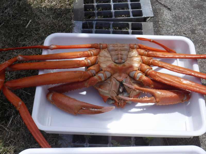 f:id:mannenNA:20210518201526j:plain