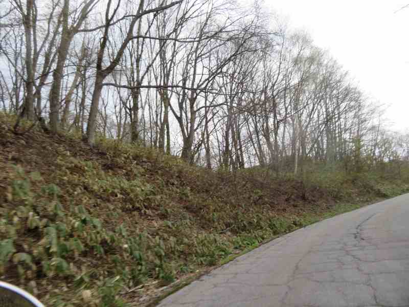 f:id:mannenNA:20210520212318j:plain