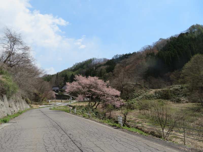 f:id:mannenNA:20210521205036j:plain