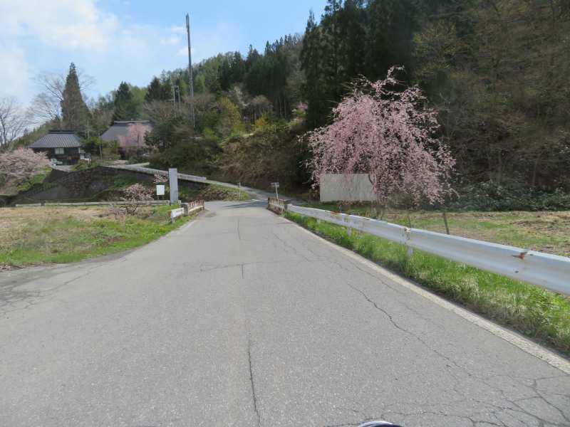 f:id:mannenNA:20210521205159j:plain