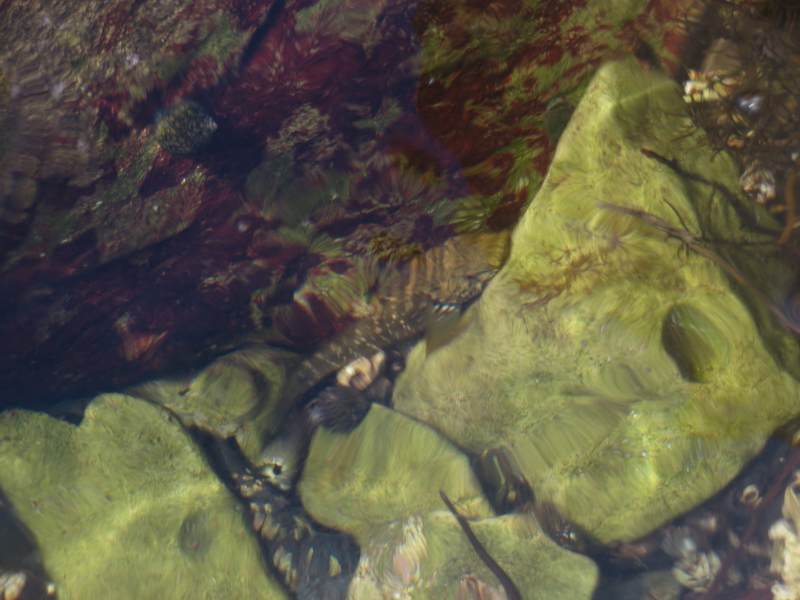 f:id:mannenNA:20210526193822j:plain