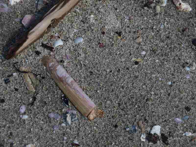 f:id:mannenNA:20210526201717j:plain