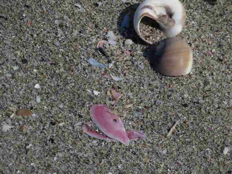 f:id:mannenNA:20210526201735j:plain