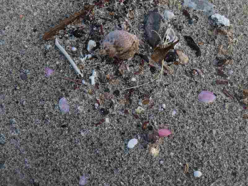 f:id:mannenNA:20210526201750j:plain