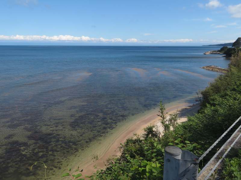 f:id:mannenNA:20210526202012j:plain