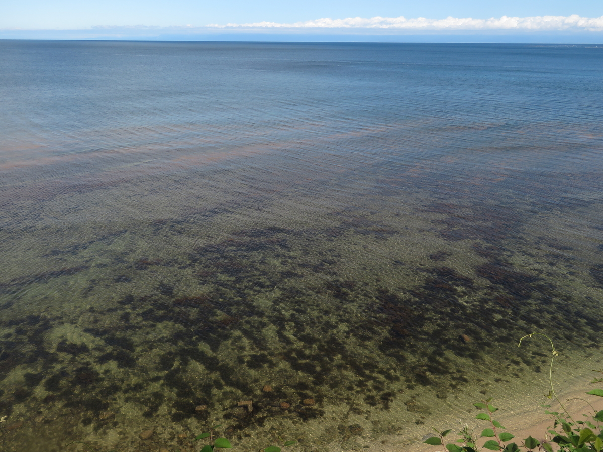 f:id:mannenNA:20210526202104j:plain