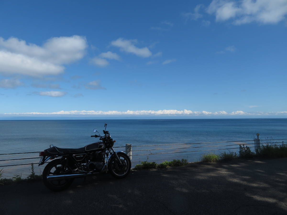 f:id:mannenNA:20210526202152j:plain