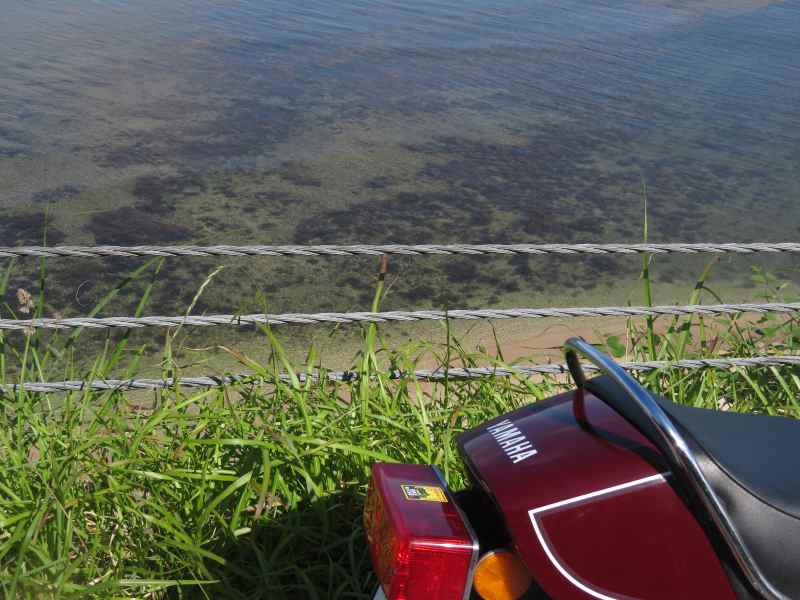 f:id:mannenNA:20210527185046j:plain