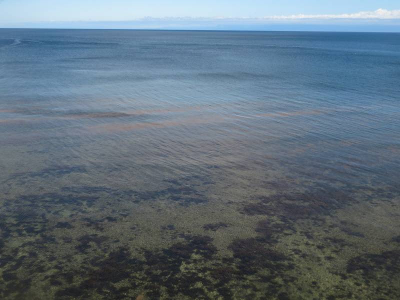 f:id:mannenNA:20210527185112j:plain