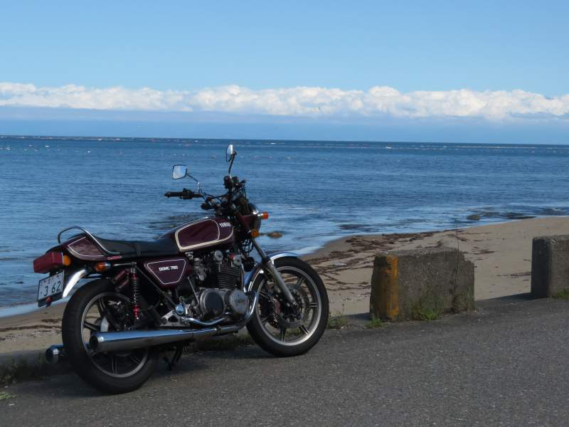 f:id:mannenNA:20210527185219j:plain