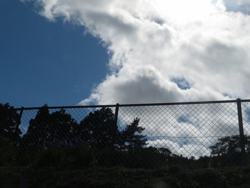 f:id:mannenNA:20210527185252j:plain