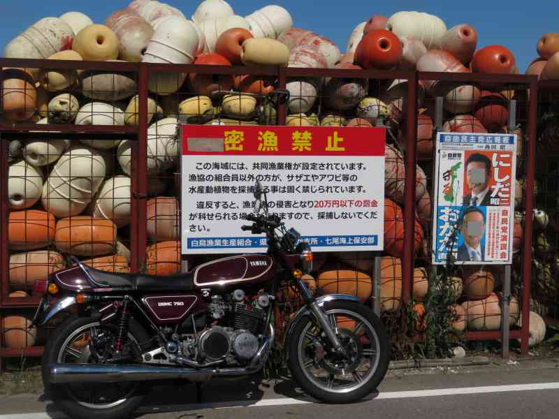 f:id:mannenNA:20210527185414j:plain