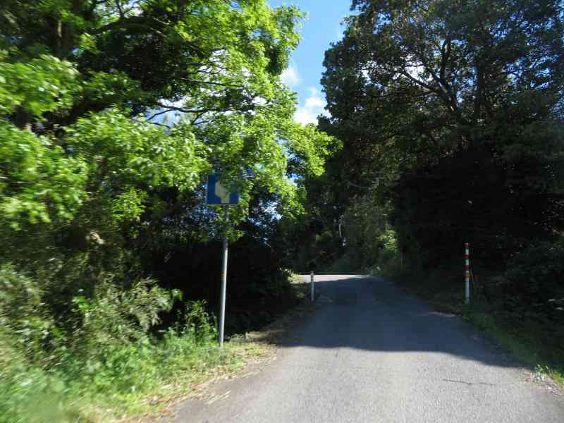 f:id:mannenNA:20210527185438j:plain