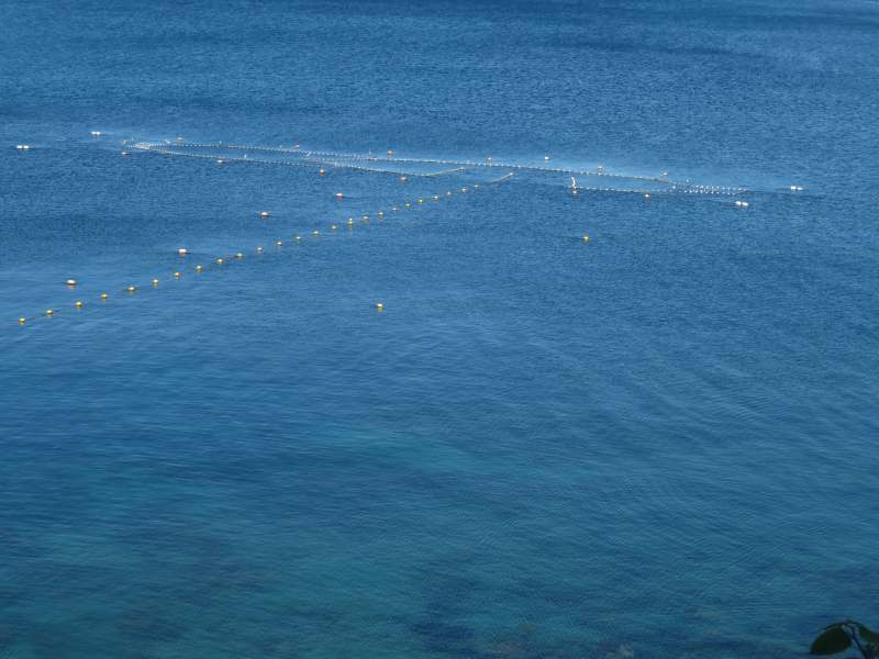 f:id:mannenNA:20210527185452j:plain