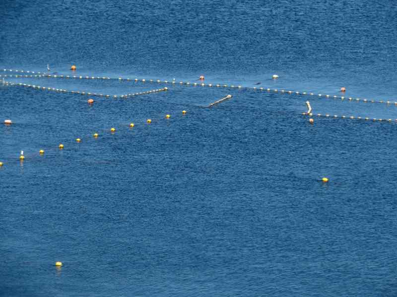 f:id:mannenNA:20210527185505j:plain