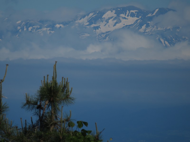 f:id:mannenNA:20210527185615j:plain