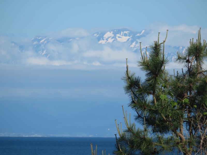 f:id:mannenNA:20210528193224j:plain