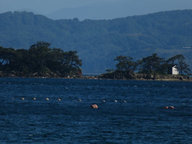 f:id:mannenNA:20210528194202j:plain