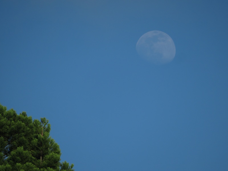 f:id:mannenNA:20210528194355j:plain