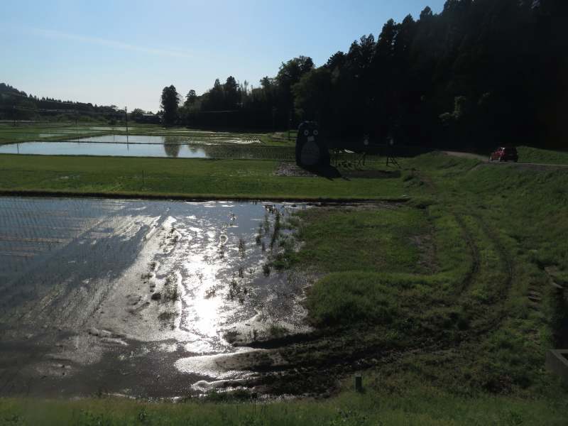 f:id:mannenNA:20210528194431j:plain