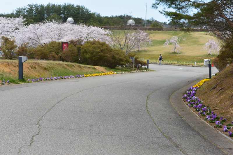 f:id:mannenNA:20210529002639j:plain