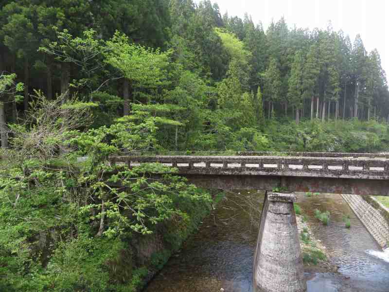 f:id:mannenNA:20210531204337j:plain