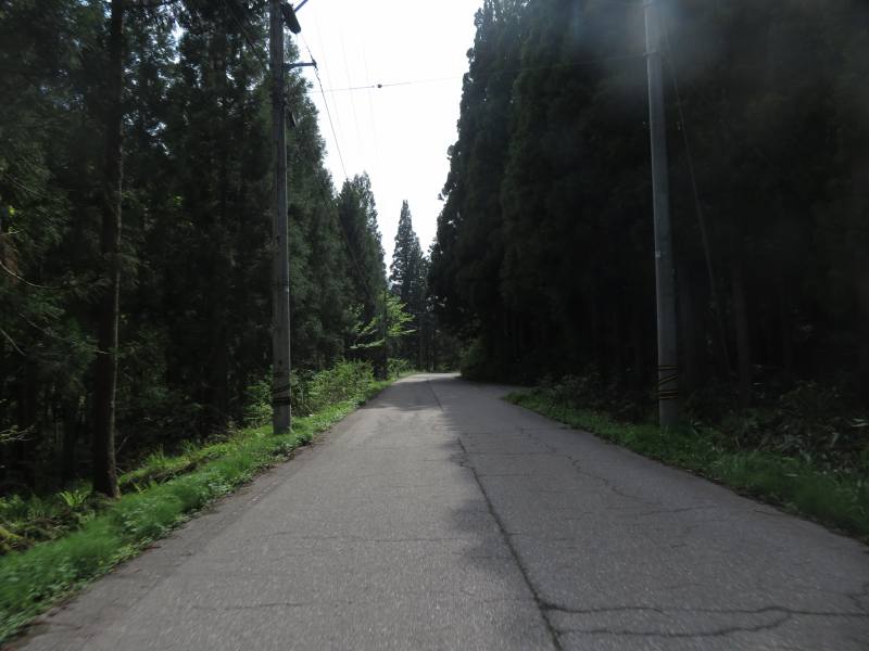 f:id:mannenNA:20210531204359j:plain