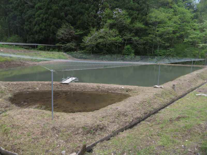 f:id:mannenNA:20210531204426j:plain