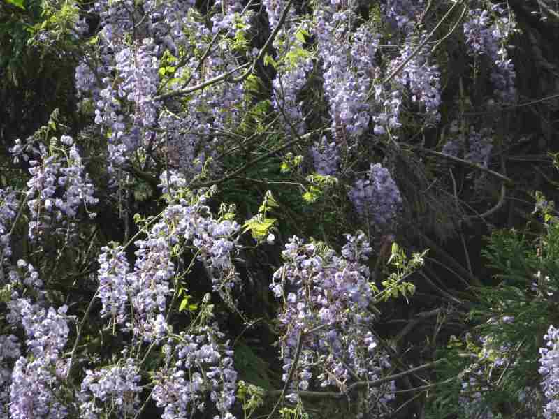 f:id:mannenNA:20210531204456j:plain