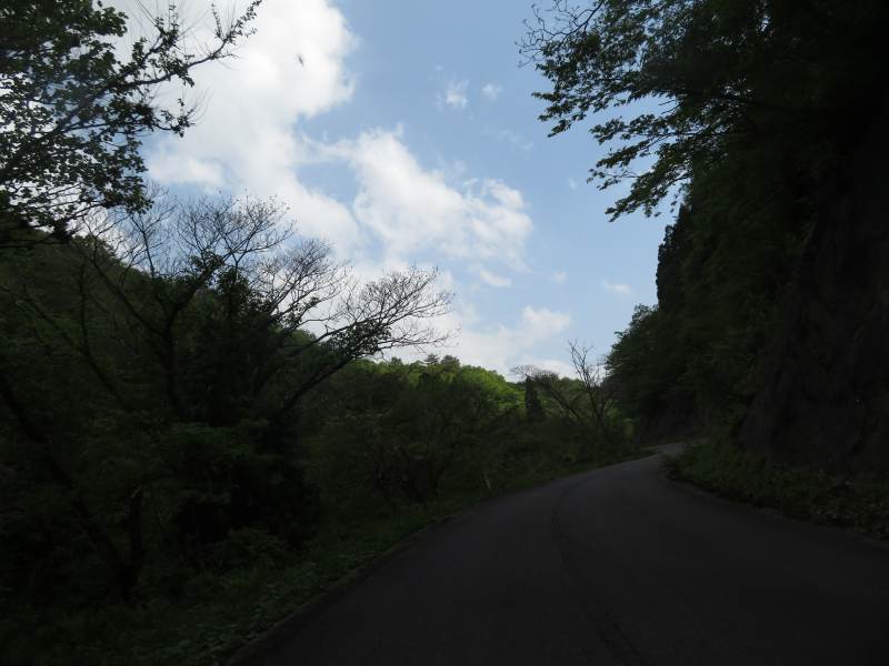 f:id:mannenNA:20210531204513j:plain