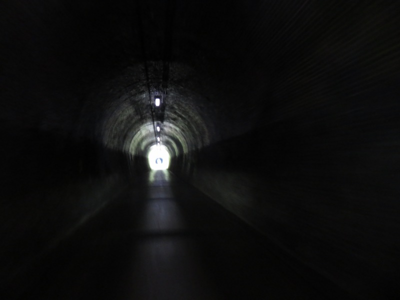 f:id:mannenNA:20210603205321j:plain