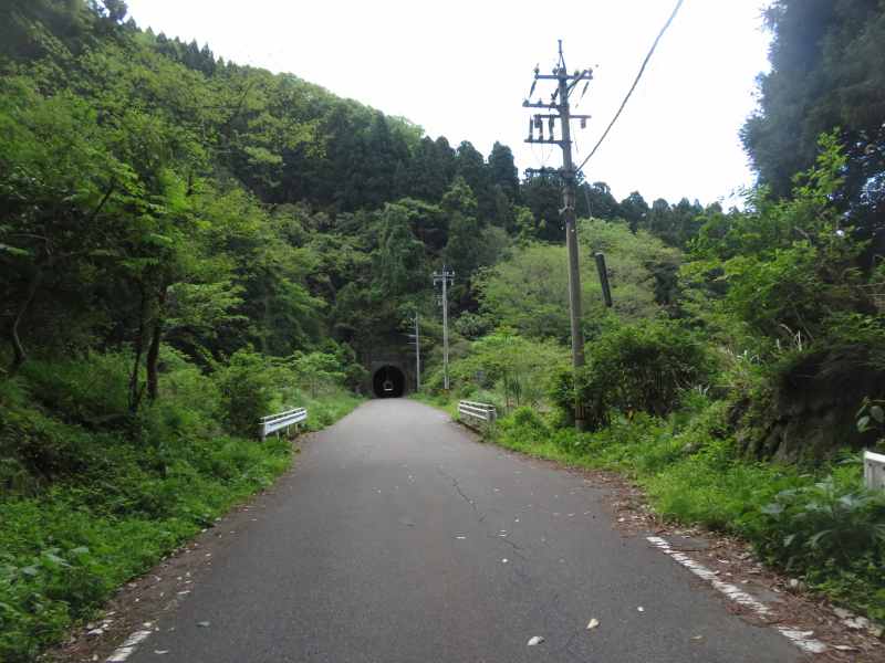 f:id:mannenNA:20210603205343j:plain