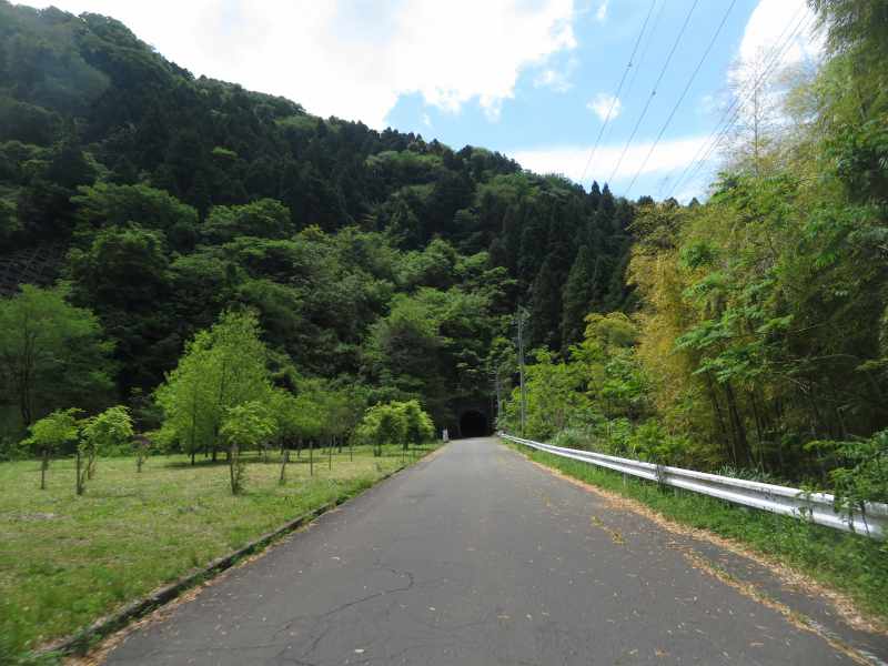 f:id:mannenNA:20210603205543j:plain