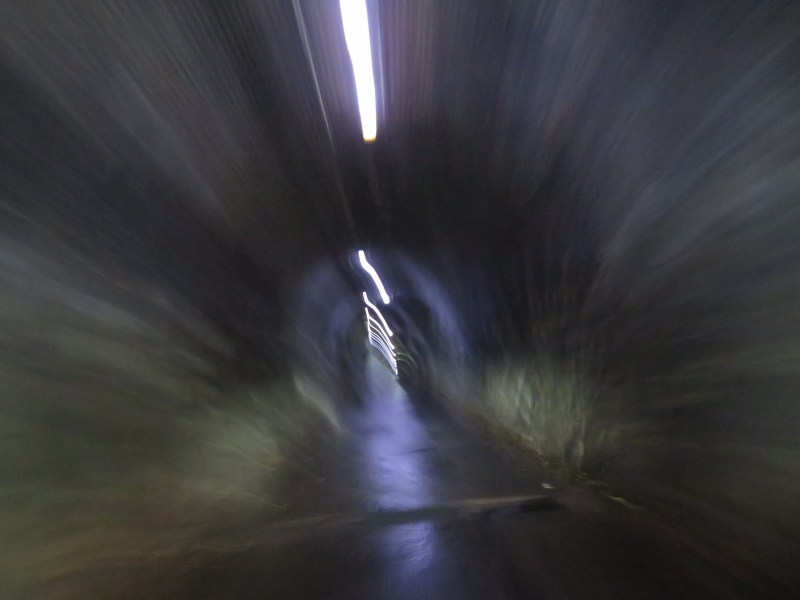 f:id:mannenNA:20210603205718j:plain