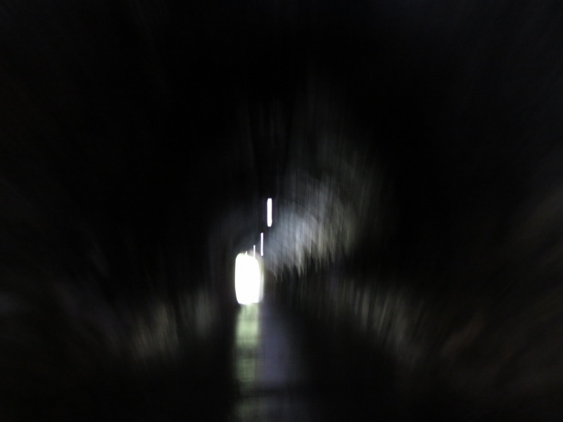 f:id:mannenNA:20210603210213j:plain