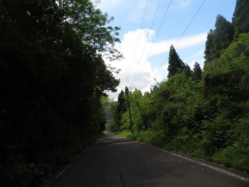 f:id:mannenNA:20210603210644j:plain