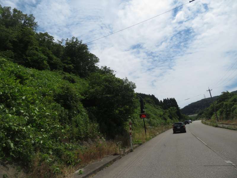 f:id:mannenNA:20210613191351j:plain