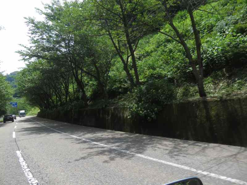 f:id:mannenNA:20210613191405j:plain